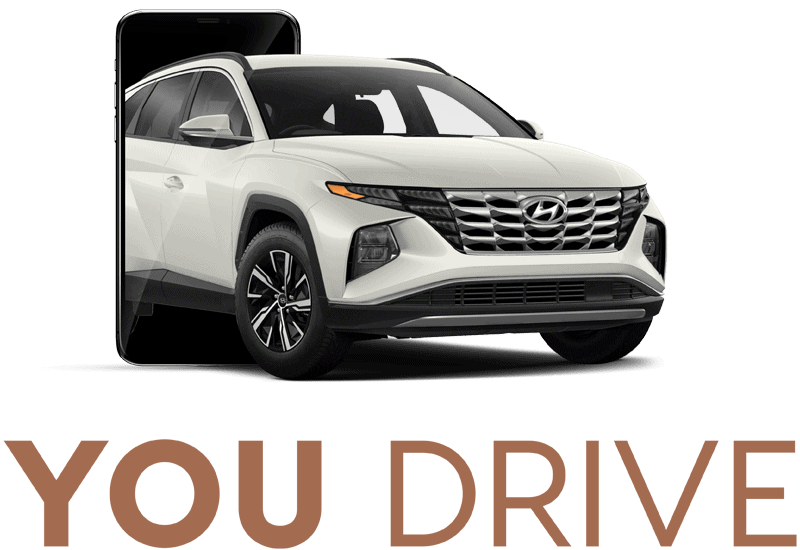 You Drive