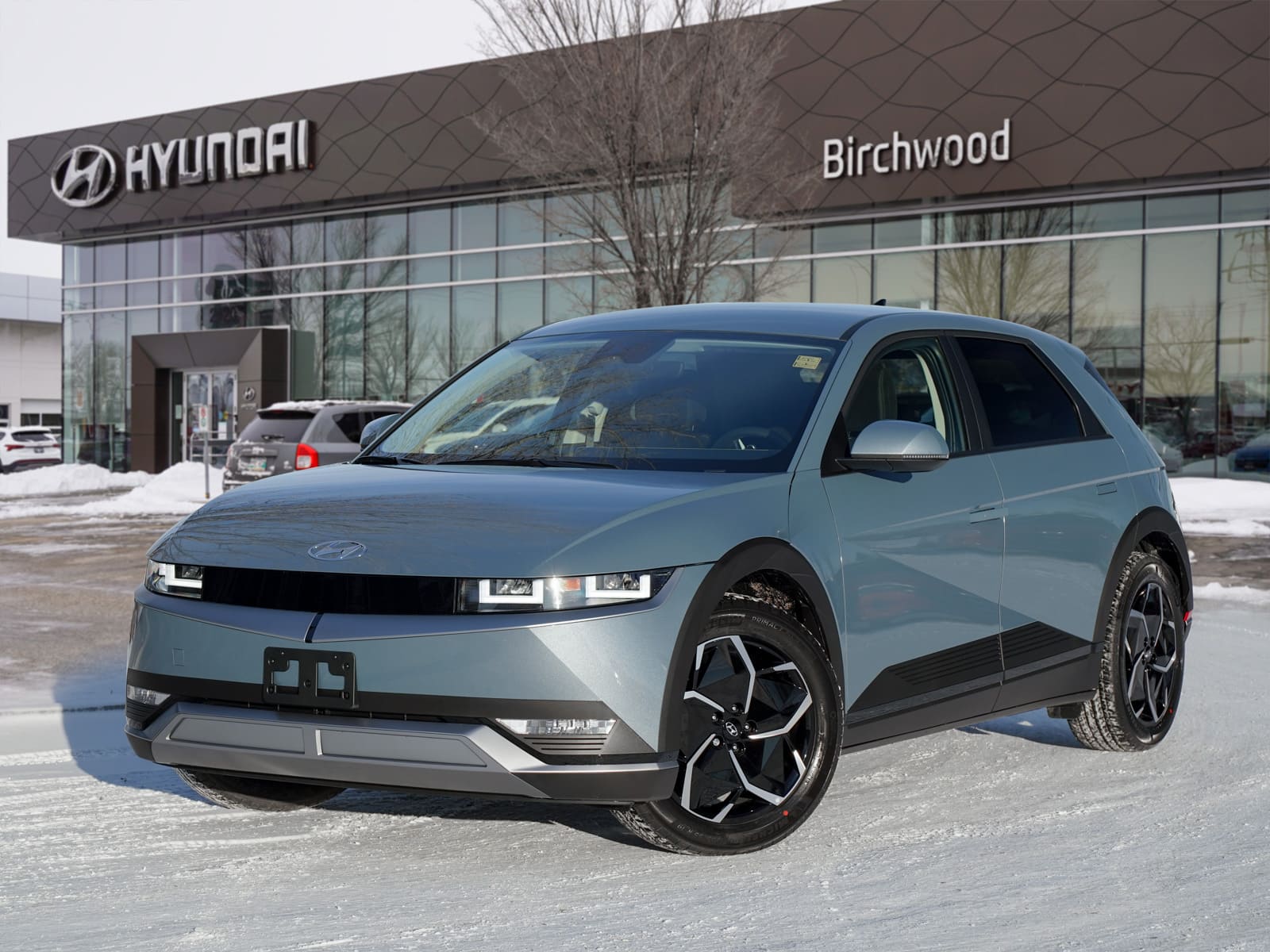 Birchwood Hyundai 2022 IONIQ5