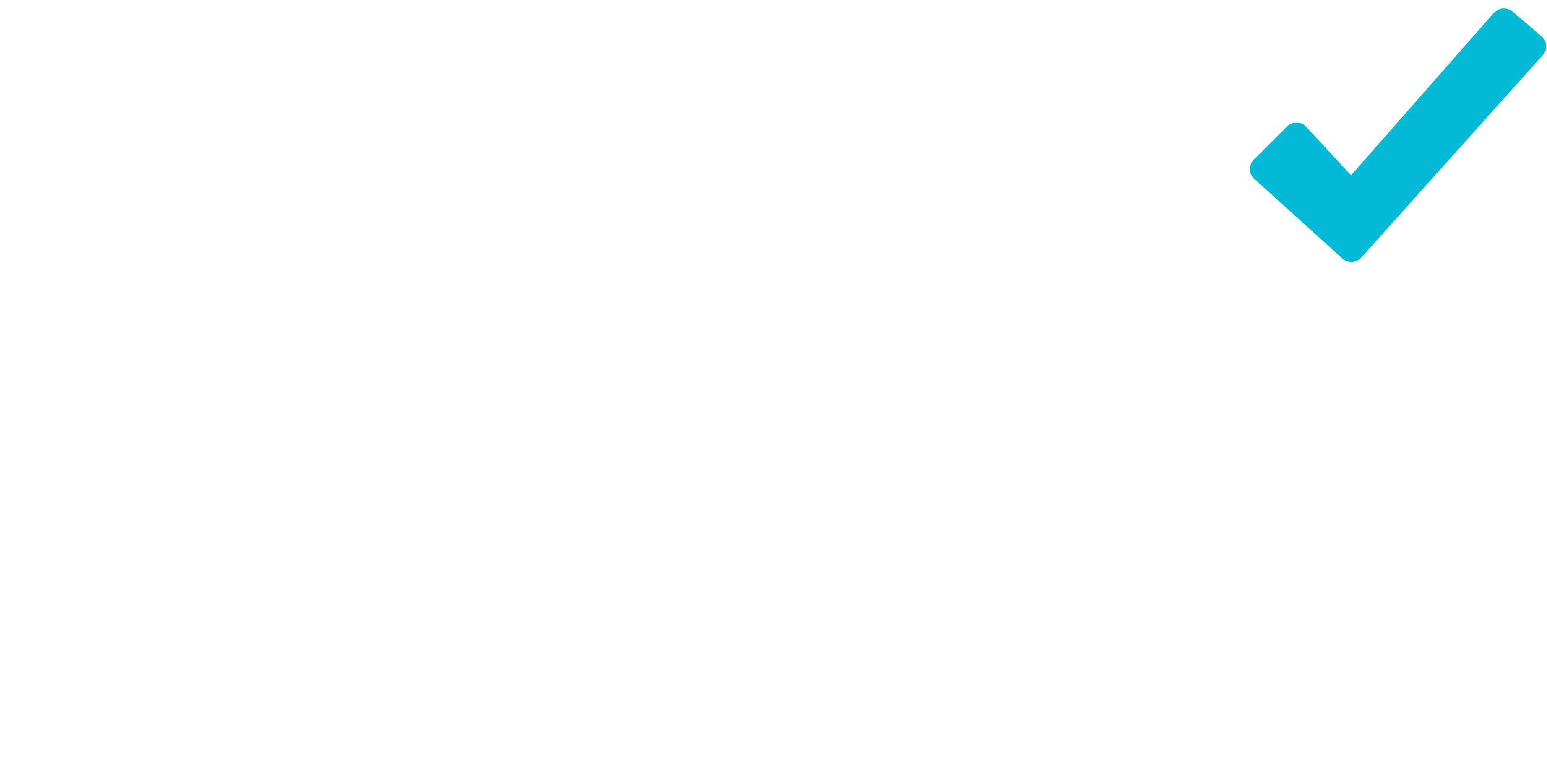 Hyundai Advantage Sales Event